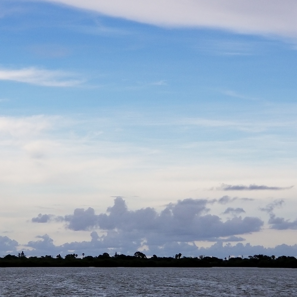 EVERYTHING IN MY CLOSET  🤩🤩